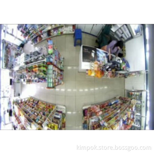 700TVL 360&deg, Panoramic Indoor Fish-eye Dome Camera with 1.7mm, 24 IR Night Vision